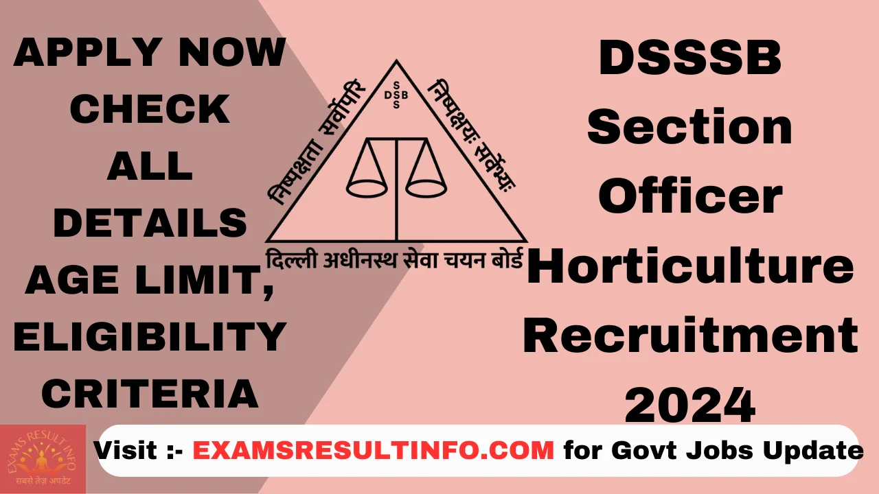 DSSSB-Section-Officer-Recruitment-2023